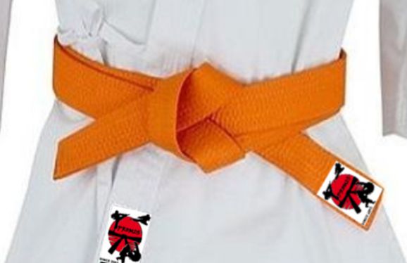 Borilacka oprema- narandzasti pojas za dzudo karate aikido