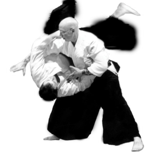Tradicionalni kimono za aikido Tradicionalni kimono za aikido