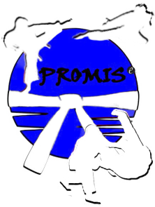 Online prodaja karate kimona i judo kimona png beli logo Promise